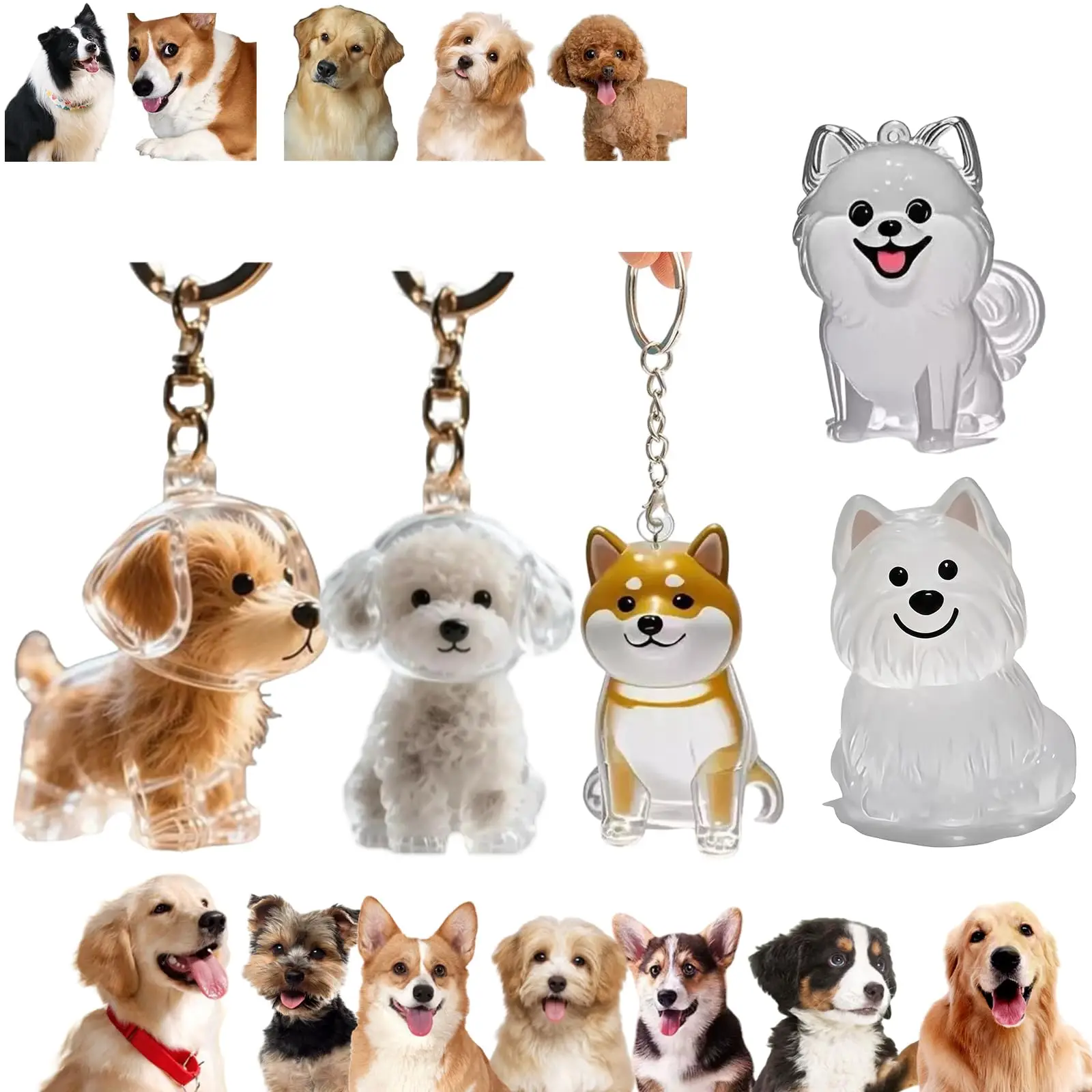 Pet Supplies Outlet - 透明なペットメモリアルペンダントキーホルダー、素敵な犬猫の毛の記念品、冷蔵庫マグネット、ペット愛好家のためのDIYお土産