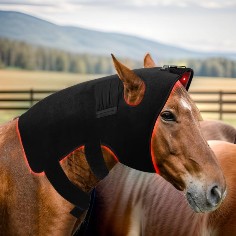 Pet Supplies Near - 馬用赤色光療法 850nm 660nm 近赤外線疼痛治療ライト ボディラップ 馬の健康管理