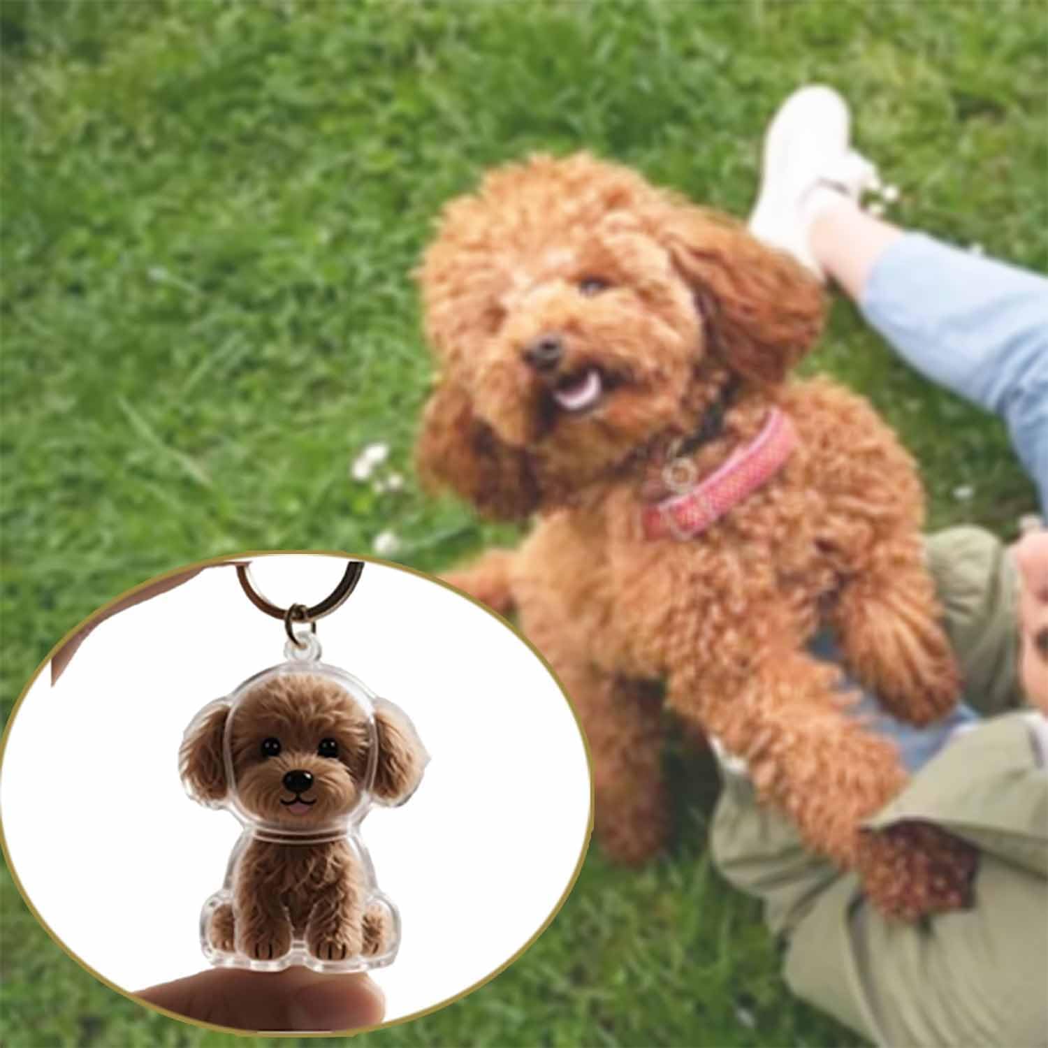 透明なペットメモリアルペンダントキーホルダー、素敵な犬猫の毛 - Pet Supplies Outlet のレビューと価格