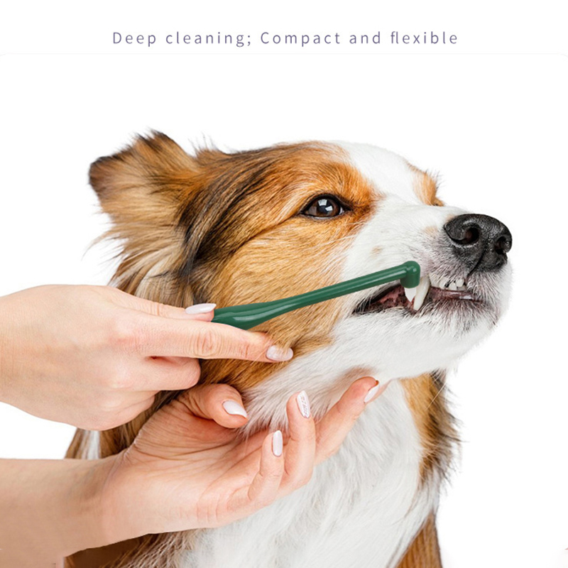 マイクロヘッド犬猫歯ブラシソフト 360 度マルチアングルペ - Pet Supplies Coupon のレビューと価格