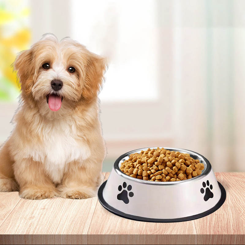 ステンレス製大容量ペットボウル 犬用フードボウル 多種類 耐 - Pet Supplies Coupon のレビューと価格