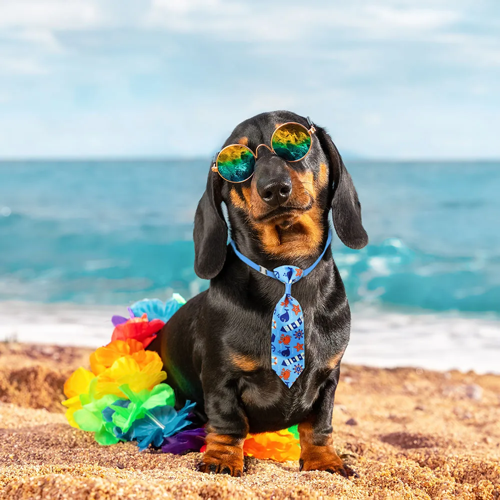 50 個犬グルーミング小型犬猫ネクタイ蝶ネクタイファッション - Pet Supplies Coupon のレビューと価格