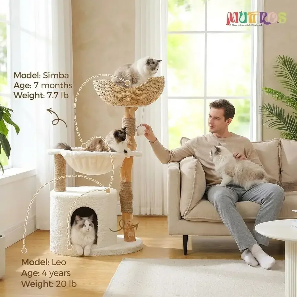 大型で快適なキャットツリー、本物の枝を模した家具、コンドミニ - Cat Scratching Post のレビューと価格