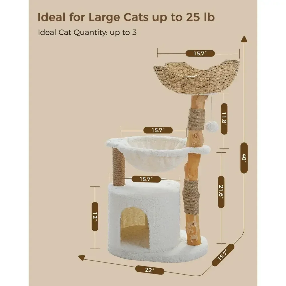 大型で快適なキャットツリー、本物の枝を模した家具、コンドミニ - Cat Scratching Post のレビューと価格