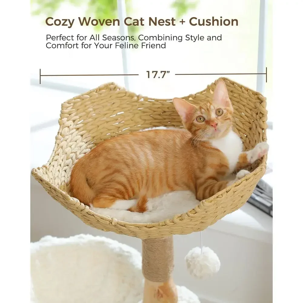 大型で快適なキャットツリー、本物の枝を模した家具、コンドミニ - Cat Scratching Post のレビューと価格