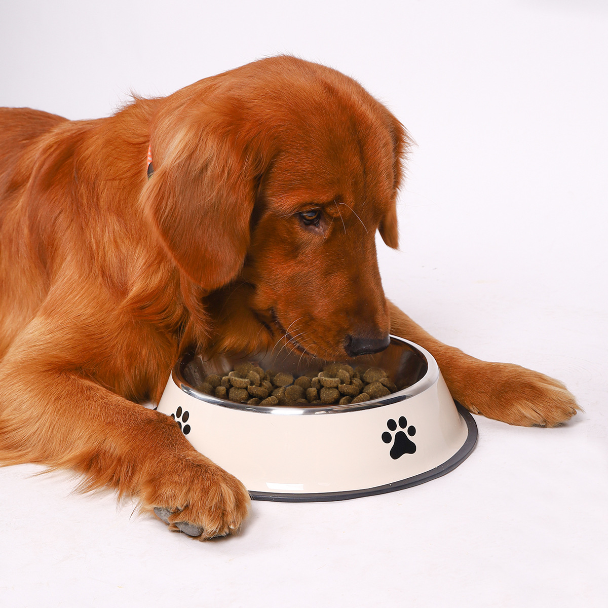 ステンレス鋼ペットボウル猫ボウル犬用フードボウル複数仕様落下 - Pet Supplies Coupon のレビューと価格