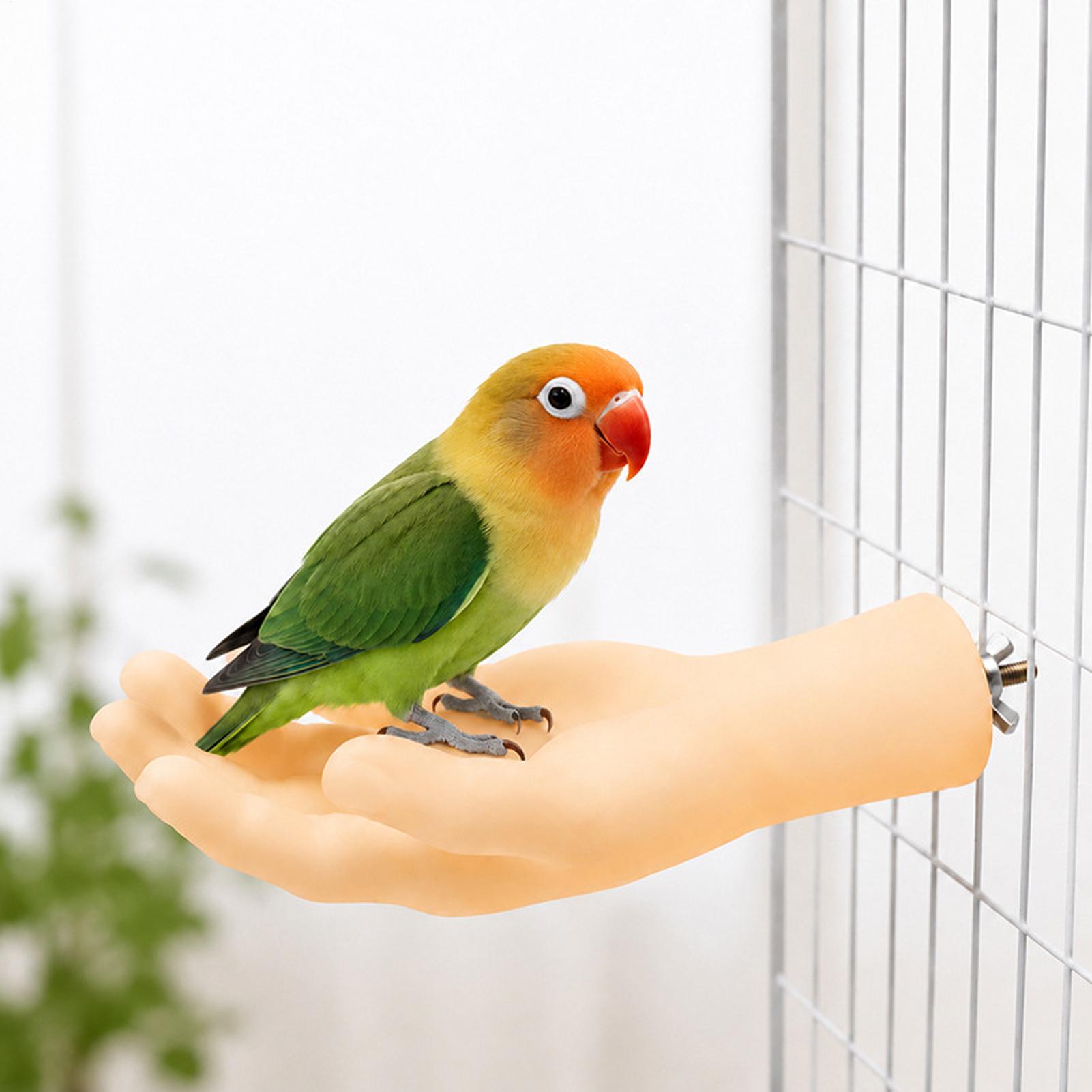 リアルなオウム用止まり木、滑り止め付きで面白いインタラクティ - Bird Cage Parrot のレビューと価格