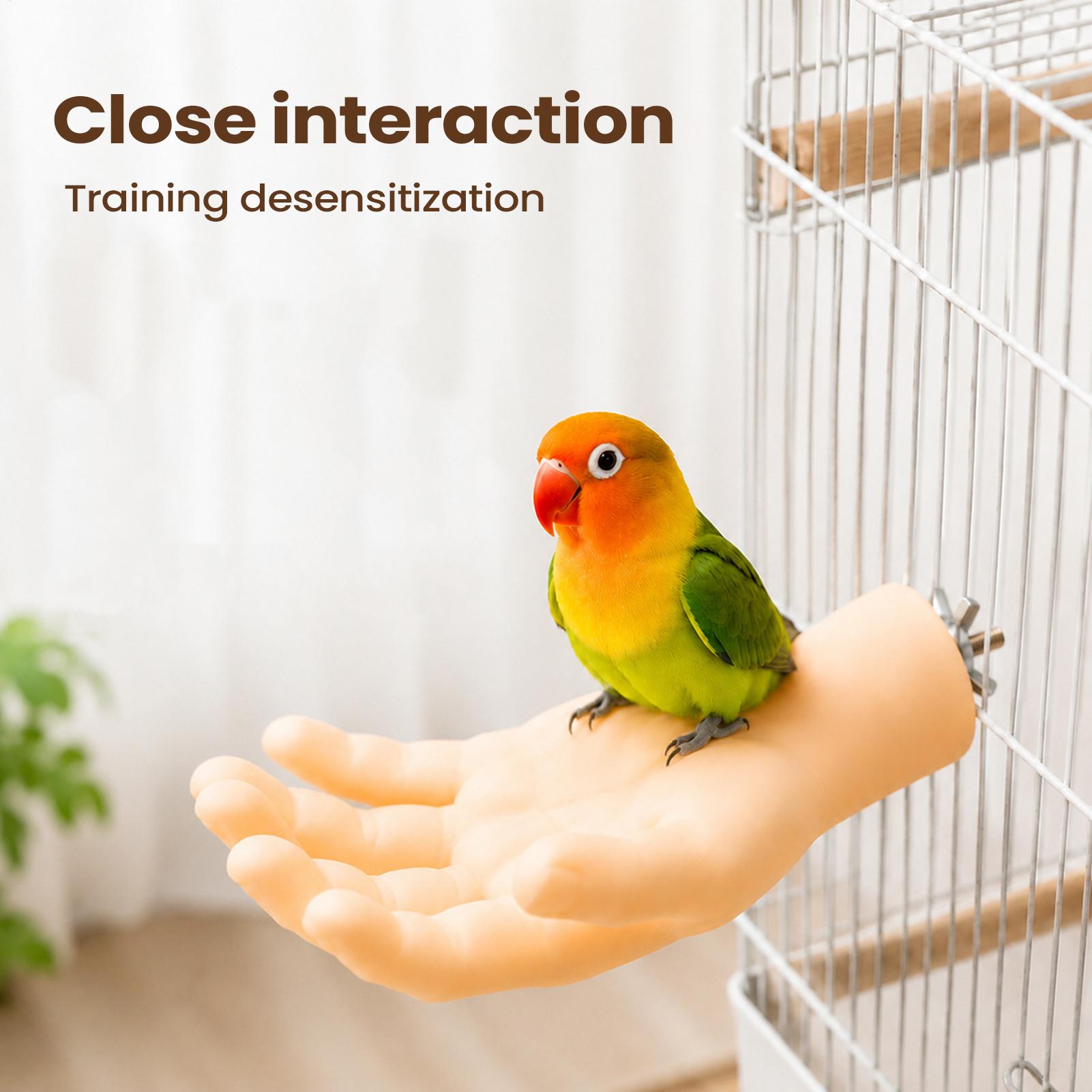 リアルなオウム用止まり木、滑り止め付きで面白いインタラクティ - Bird Cage Parrot のレビューと価格