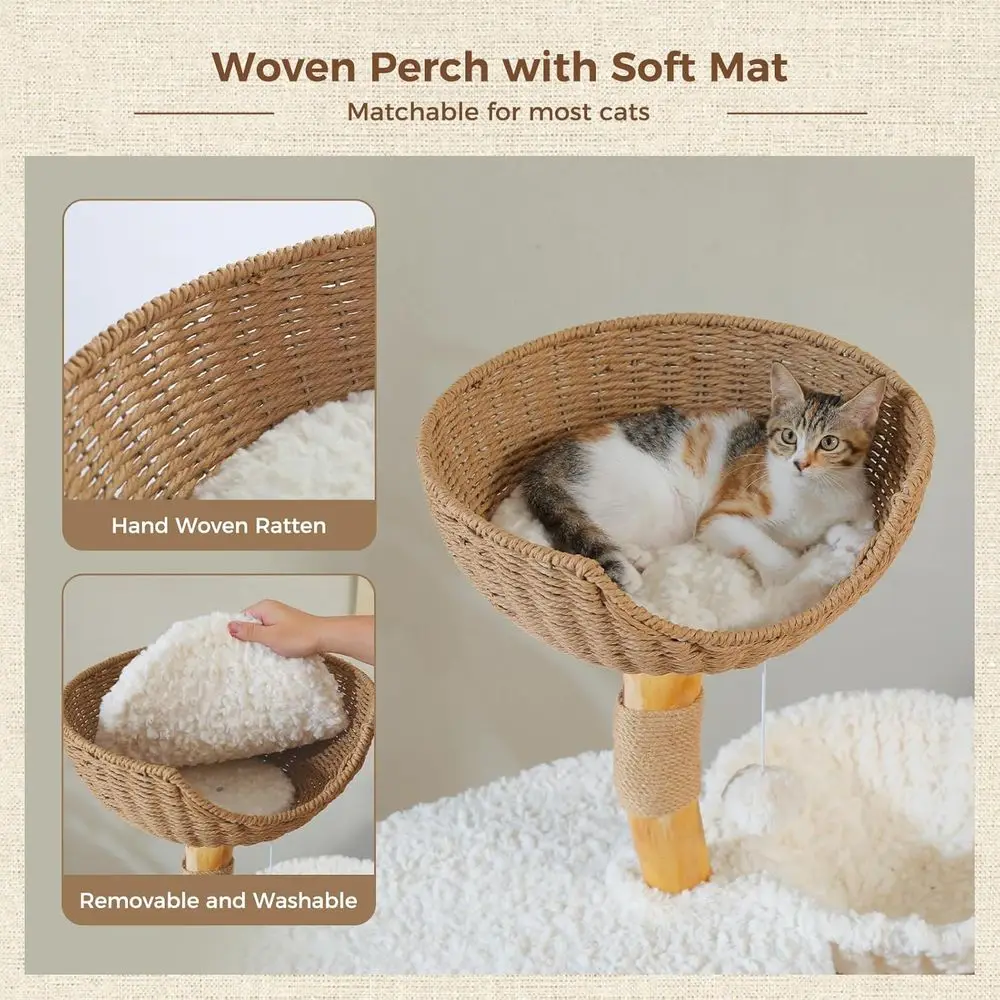 高さ48.5インチの無垢材キャットタワー、豪華なコンドミニア - Cat Scratching Post のレビューと価格
