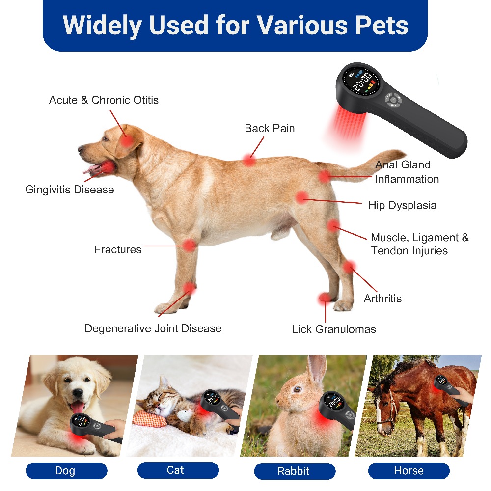 ペット用プロ仕様1760mWコールドレーザー治療器 660n - Pet Supplies Outlet のレビューと価格